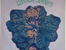 ULTIMATE SPINACH s/t LP Original 1968 PSYCH ROCK US MGM SE-4518 Gatefold 33RPM