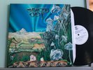 LP 1991 NM  Magic Mushroom Band ?– Spaced Out Label: Mystic Stones ?– RUNE 5 For