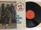 Blue Ash - No More, No Less - 1973 1st Press LP SRM-1-666 Near Mint (NM)