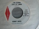RARE TEEN 45 rpm KENNY ANCEL on PARLIAMENT lb TWELVE FEET HIGH Lee Hazelwood NM