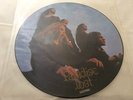 PARADISE LOST *GOTHIC* VERY RARE 1991 UK PICTURE DISC VINYL LP  VILE26P