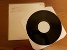 Radical Dance Faction? – Wasteland (promo white label)