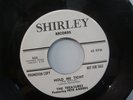 THE TREASURES Pete Anders  Hold me Tight BEATLES SHIRLEY 500 PROMO 45 M doowop