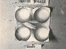 Satin Whale - Desert Places LP