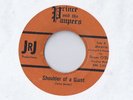 PRINCE AND THE PAUPERS  Exit 45 RECORD RARE PRIVATE 1965 MN GARAGE ROCK