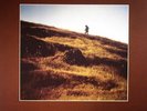MORRISON, Van - Common One - Vinyl (LP + insert)