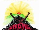 Bob Marley and The Wailers-Uprising  Vinyl / 12