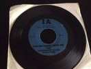 Thirteenth Floor Elevators 45 You're Gonna Miss Me /Tried To Hide Blue IA Garage