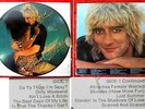 LP Picture Disc Rod Stewart: Blondes have more fun (Warner Bros. BSP 3276) US 78