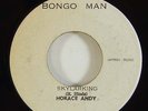 Horace Andy 