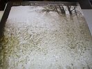 Bon Iver - For Emma, Forever Ago - LP Vinyl  //// Neu & OVP