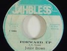Junior Brown 