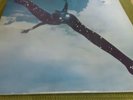 Free original vinyl LP on Pink Island label ILPS- 9104
