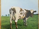 Pink Floyd ATOM HEART MOTHER original vinyl LP. Excellent. EMI Harvest SHVL 781