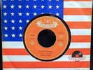 Frankie Avalon 7