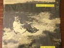 MIRACLE LEGION The Backyard LP Original INCAS w/ Photo EX Shrinkwrap