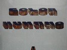 COLOR HUMANO COLOR HUMANO SEALED LP VINYL NEW