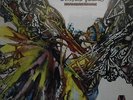PESCADO RABIOSO DESATORMENTANDONOS SEALED LP VINYL NEW