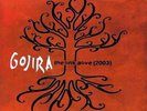GOJIRA - The Link Alive (2003)  DLP  GOLD