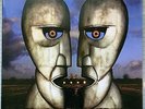 Pink Floyd / The Division Bell / Green Marbled Vinyl  LP