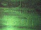 K - DOZZY DONATO [2x LP]