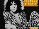 T-Rex-Solid Gold: T-Rex  VINYL NEW