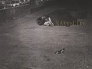 Naked City - John Zorn (2016, Vinyl New)