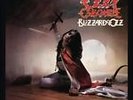 OZZY OSBOURNE - BLIZZARD OF OZZ(180G/RM) - VINYL