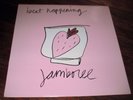 BEAT HAPPENING Jamboree 1988 LP Original Calvin Johnson Rough Trade Records NM
