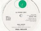 PAUL WELLER * 'WILD WOOD' * SPECIAL 10
