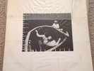 Captain Beefheart And The Magic Band Clear Spot Orig 1972 Embossed Vinyl Record