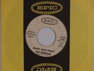 THE REMAINS: Diddy Wah Diddy USA EPIC Garage Freakbeat 45 Promo HEAR