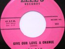 ADA RAY Give Our Love A Chance 45 RARE SOUL ZELL'S 252 EX MINT-