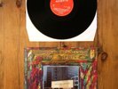 The Adverts - Crossing The Red Sea With The Adverts Original LP Vinyl Punk