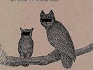 Neil Halstead Palindrome Hunches Vinyl LP Sealed w/download Slowdive