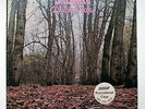 TWINK - THINK PINK 1970 RARE ORIGINAL PSYCH LP PROMO COPY SIRE / LONDON