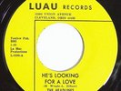 THE HEADLINES He's Looking For A Love 45 on Luau Rare Ohio Northern Soul M-