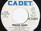 JEAN DuSHON Feeling Good 45 on Cadet Northern Soul Promo M-