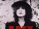 T REX - The Slider: 40th Anniversary - Vinyl (LP)