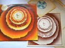 STEVIE WONDER SONGS IN THE KEY OF LIFE VINYL LP COMPLETE BOOKLET + 7