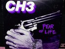 CH3 