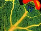Catapilla - Changes [Vinyl New]