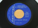 FABULOUS APOLLOS Some Good In Everything Bad 45 VG++ Northern Soul HEAR