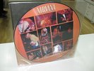 NIRVANA PICTURE DISC FROM THE MUDDY BANKS OF THE WISHKAH MEXICAN EDITION