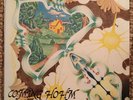 Rosemary Haddad “Coming Hohm” RARE PRIVATE HIPPIE PSYCH FOLK LP NM W/ INSERT