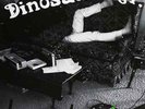 Dinosaur Jr.-Beyond  VINYL NEW