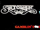 SALT CREEK BAND Gamblin Fool LP PRIVATE MN RURAL ROCK AOR RARE