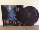 Pink Floyd - Animals In Berlin 1977  - Brand New Purple Colored Vinyl LP Record