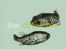 Low+ Dirty Three - In The Fishtank Vinyl LP In The Fis NEW