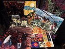 1967 Orig THE SEEDS   FUTURE Psych Garage FLOWER POWER = ACID PSYCHEDELIC LP